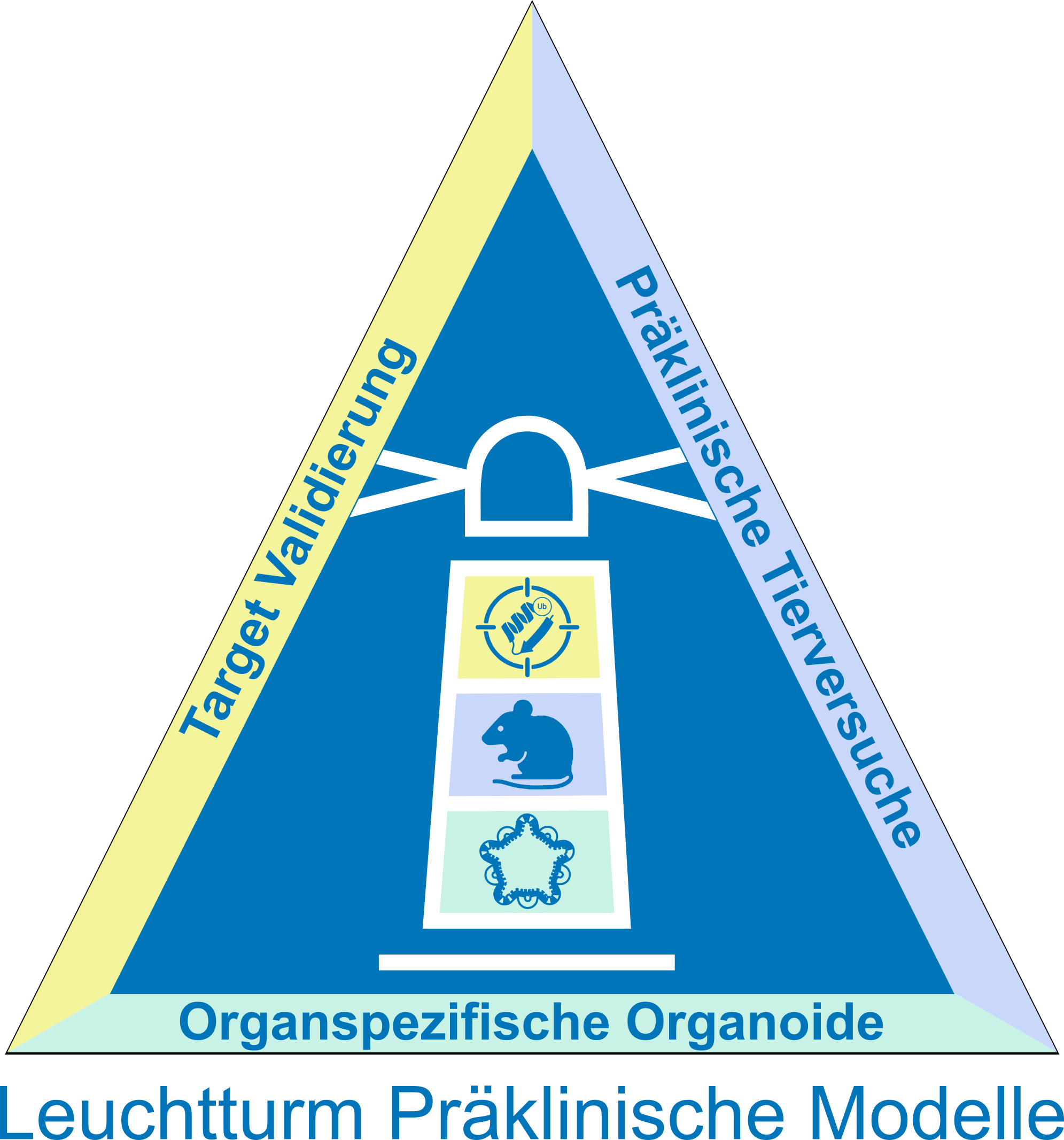 Präklinische Modelle